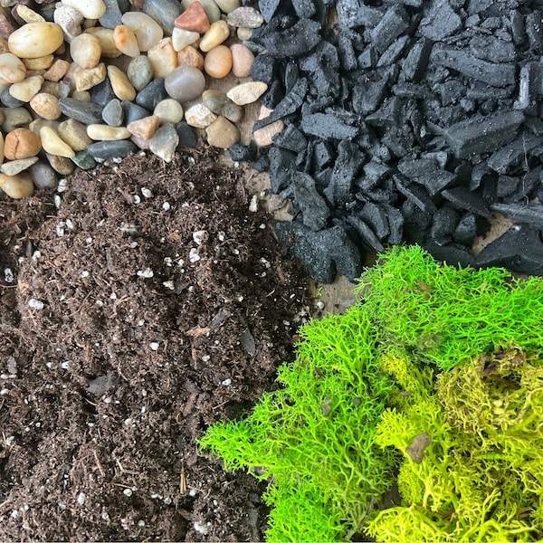 Terrarium Building Kit | Just the Basics | Indoor Garden | Create Your Own Terrarium | DIY Gift for Plant Parents
