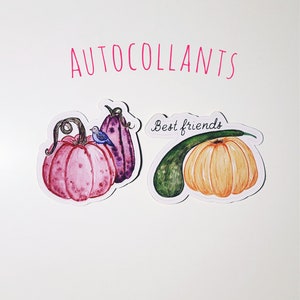 Autocollant citrouille: 2 choix