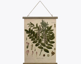 Vintage plantes toile oeuvre impressions botaniques affiche cadre cintre défilement, herbier affiches impression pour décoration intérieure art mural personnalisé