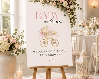 Babyshower bord welkom vintage koets roze blush meisje babyshower vermelding teken digitale DIY afdrukbare decor Instant Download Canva