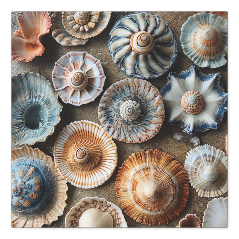 Boho Seashells Wall Art – Neutral Coastal Print for Bohemian Decor - Etsy