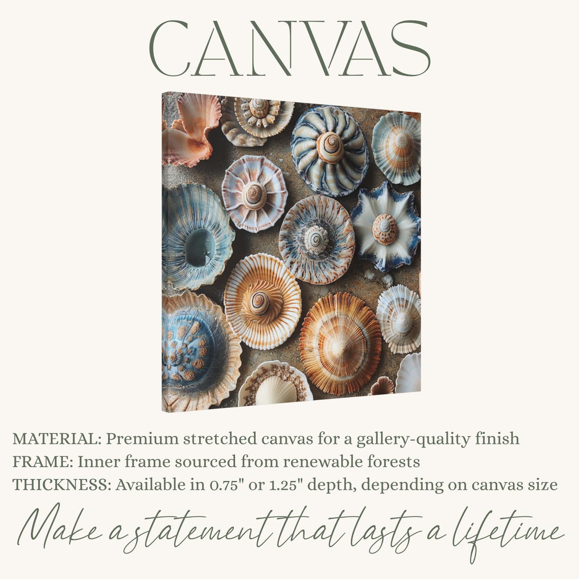 Boho Seashells Wall Art – Neutral Coastal Print for Bohemian Decor - Etsy