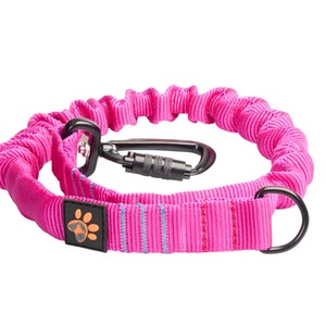 Ammortizzatore per guinzaglio per cani di taglia grande JoQu®