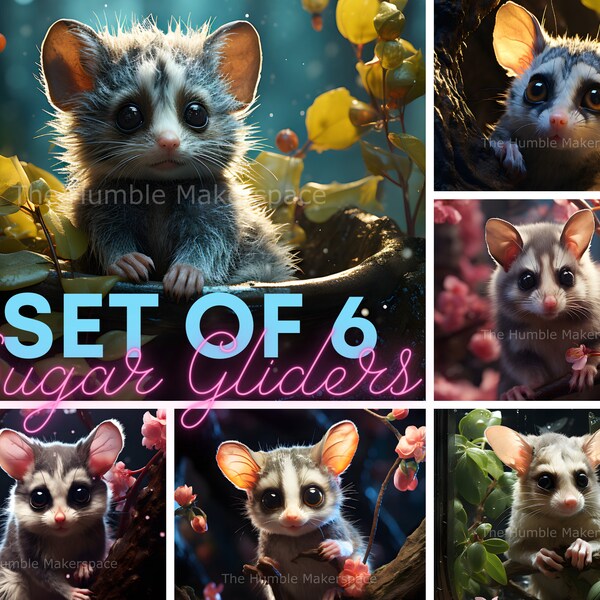 Set of 6 Sugar Gliders: A3-A5 Printable Wall Art, Instant Download, Home Improvement, Nature Prints, Living Space, Gift Inspiration.