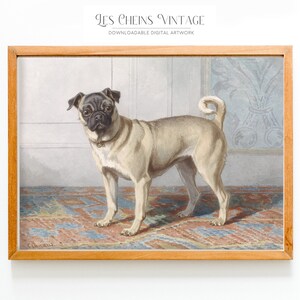 Puede incluir: Una ilustración vintage de un perro pug de color canela de pie sobre una alfombra estampada. El perro mira directamente al espectador con una expresión seria. La ilustración está enmarcada en un marco de madera.