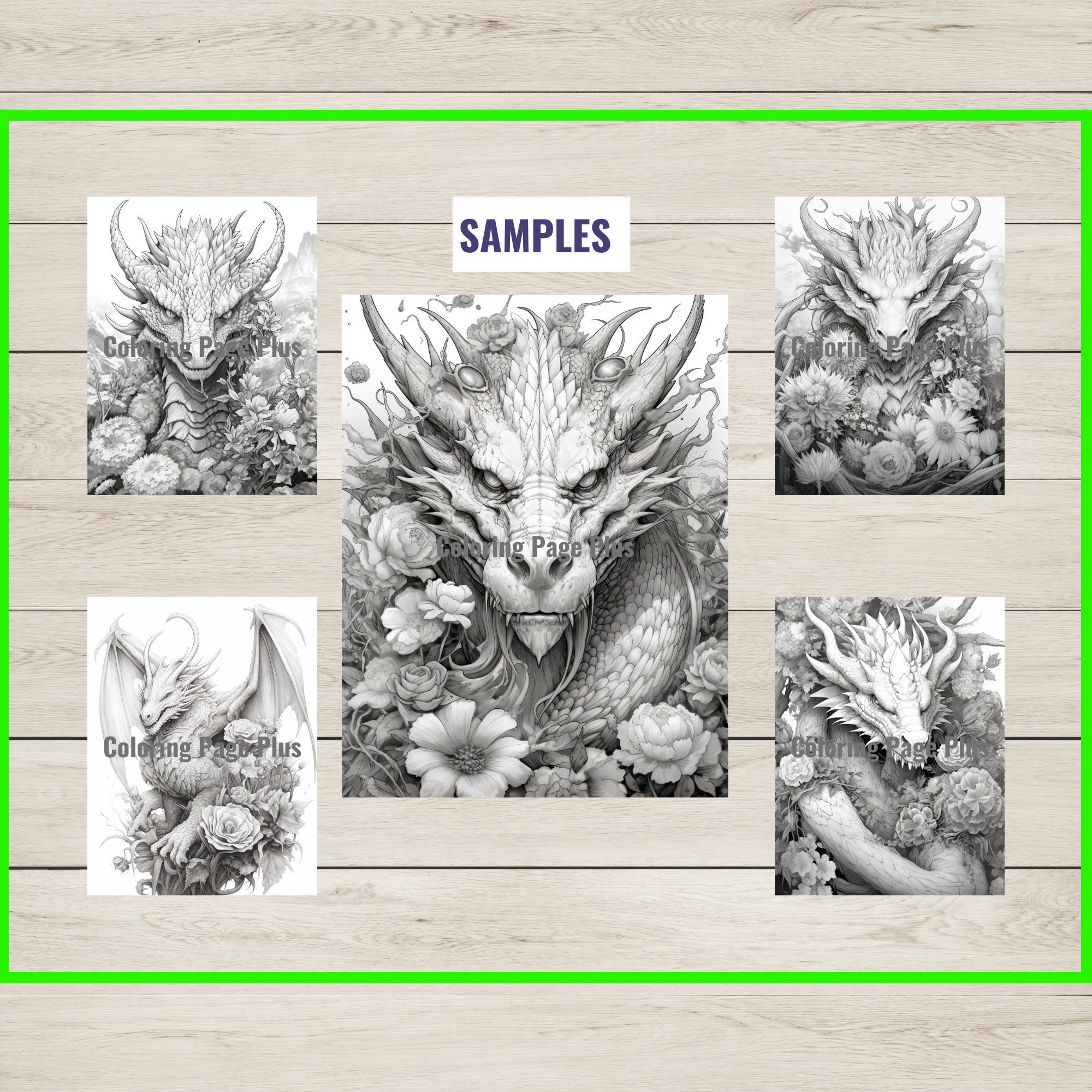 34 Flower Dragon Coloring Page Book Adults Kids Instant Etsy