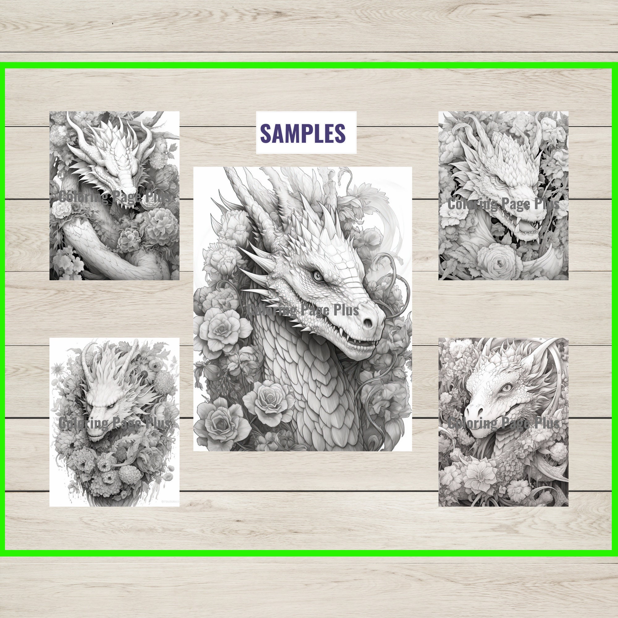 34 Flower Dragon Coloring Page Book Adults Kids Instant Etsy