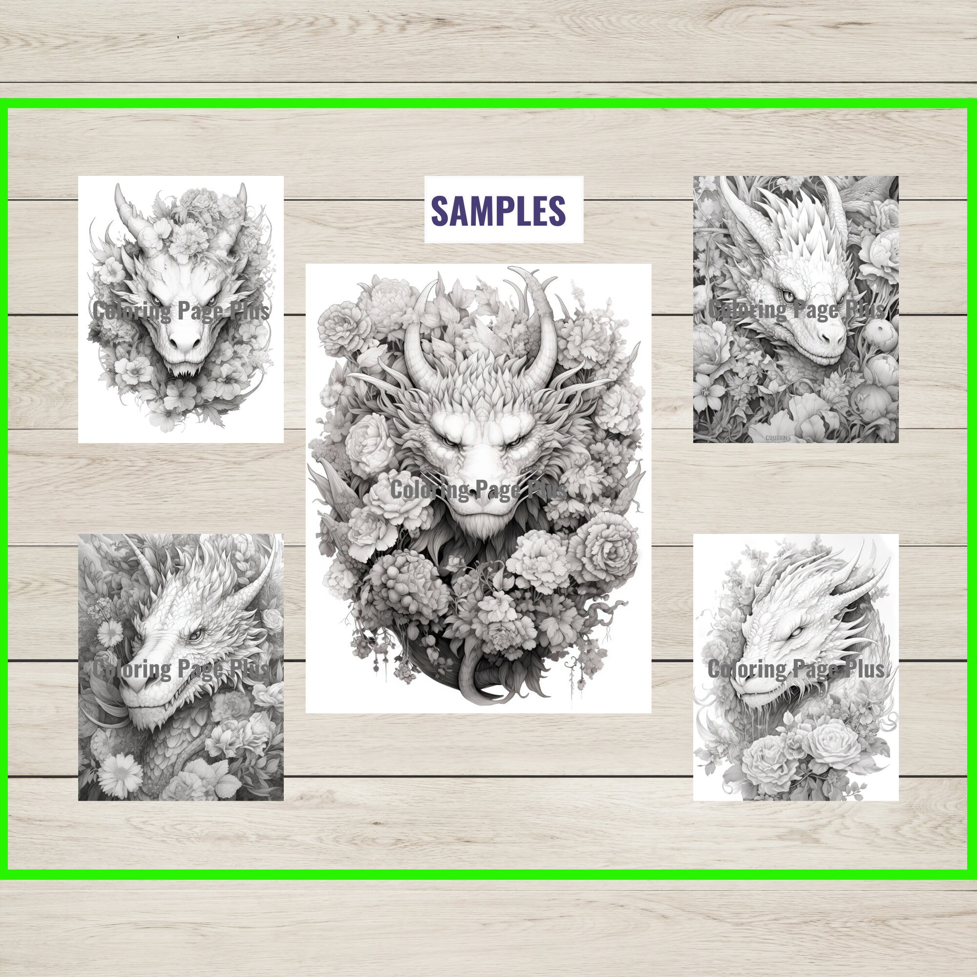 34 Flower Dragon Coloring Page Book Adults Kids Instant Etsy