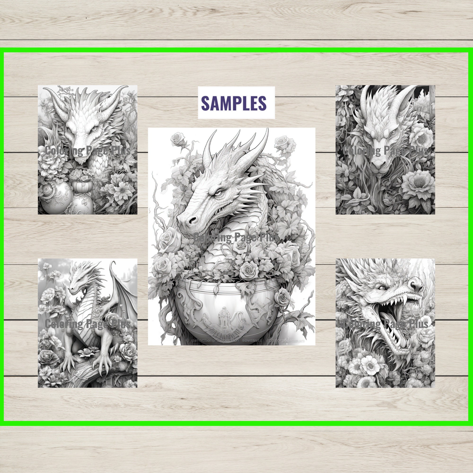 34 Flower Dragon Coloring Page Book Adults Kids Instant Etsy