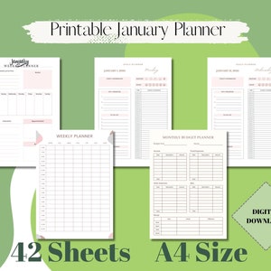 January Monthly Weekly Daily Printable Planner , Monthly Budget Planner , 2024 , Snow Flakes Winter , Digital Download Printable Planner