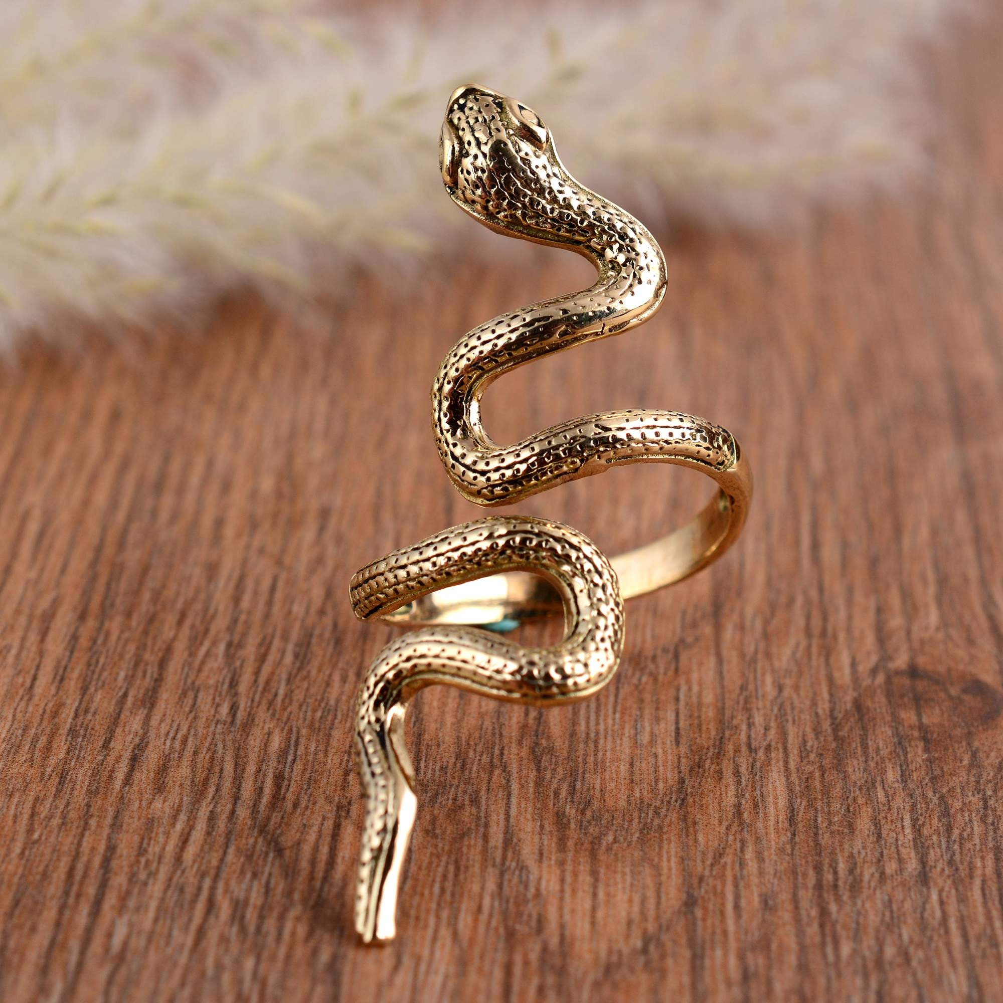 Ouroboros Snake Ring – Julie Nolan