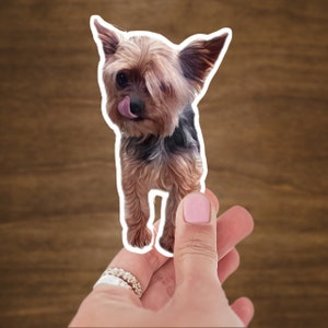 Yorkie Sticker / passend für Kindle, Koffer, Tumbler, Auto etc. / Outdoor & Indoor / Wasser-, kratz- und UV-beständig / 4 Größen / weißer Rand