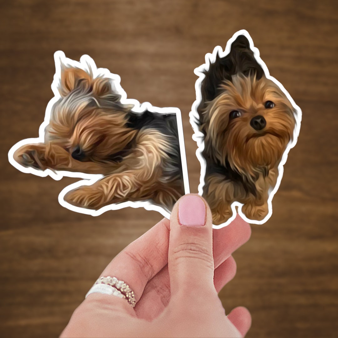 Yorki Sticker Transparent 2 Yorkie Sticker Bundle / Decal for Laptop, Notebook Etc / Water, UV ...