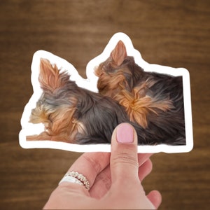 Yorkie-Aufkleber / Ideal für Kindle, Laptop, Koffer, Auto usw. / Außen- und Innenbereich / UV-, wasser- und kratzfest / entfernbar, keine Rückstände