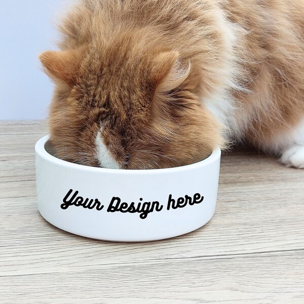 Dog Bowl Mockup Food Bowl Mockup Cat Mockup - styled stock, Sublimation Blank Food Bowl Mockup bowl Mock Up, instant download,