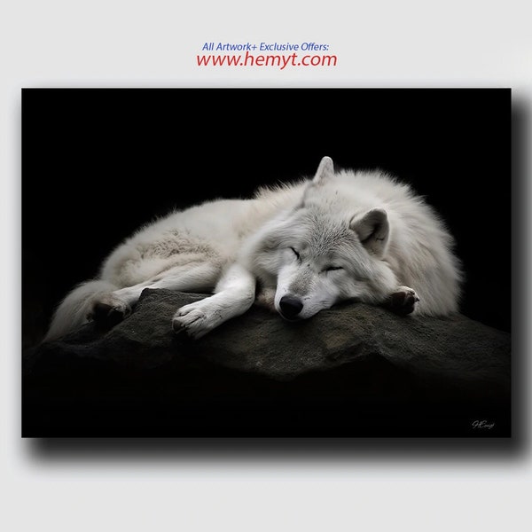 White Wolf Poster | Arctic Wolf Print | Polar Wolf Poster| Sleeping Wolf Wall Decor | Wolf Wall Art | Wildlife Wolf | Black | Wolf Wall Art