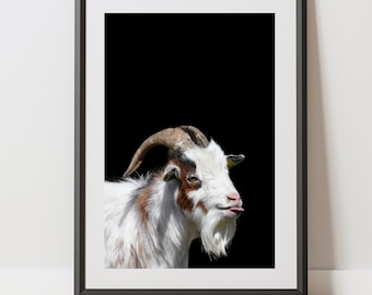 Funny goat print, Goat poster, Farm animal print, Perfect for Animal Lovers printable, Goat lovers gift for vegan