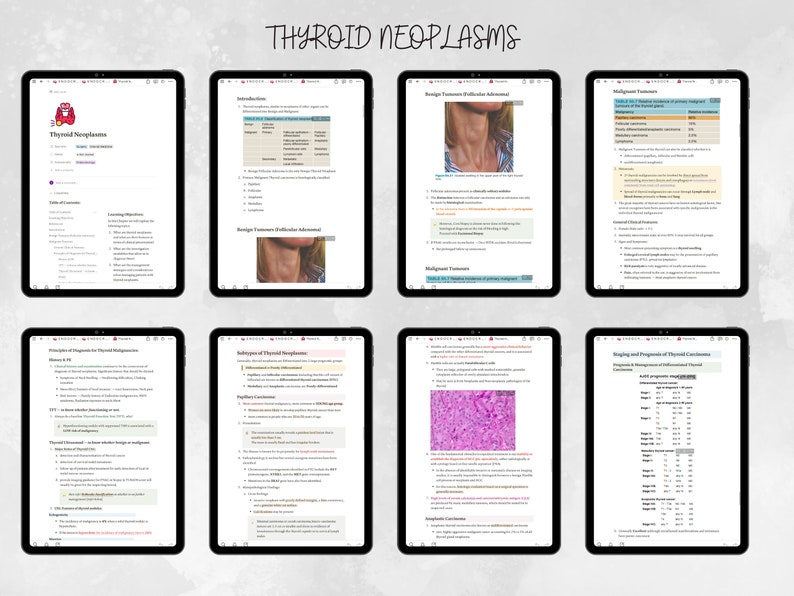 Notion Templates for Medical Students Medical Notes Digital Notes