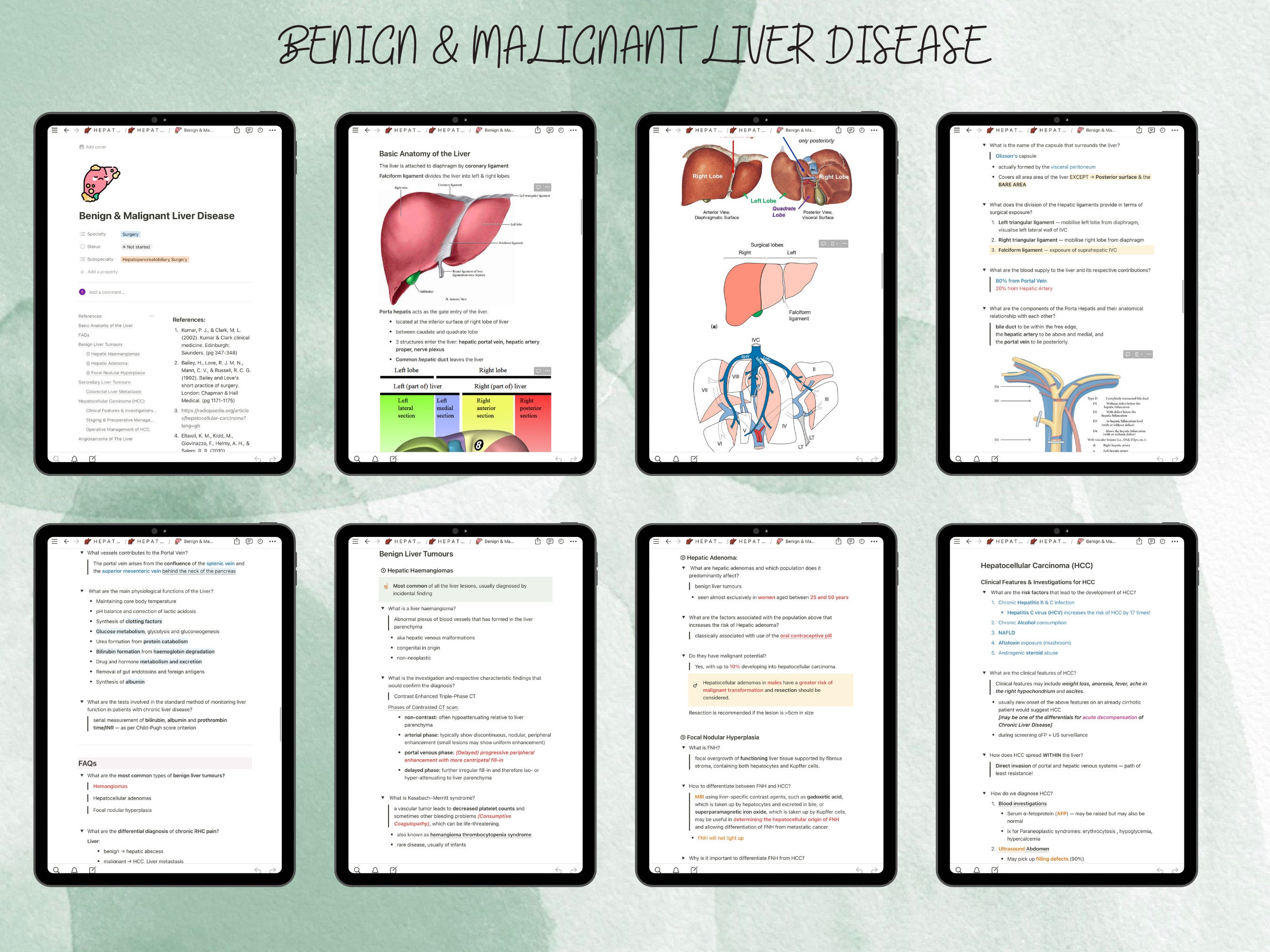 Notion Templates for Medical Students Medical Notes Digital Notes