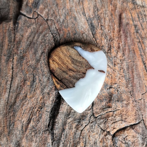 Custom Guitar Pick Etsy