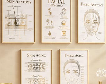 Skin Anatomy Poster Set of 5, Face Aging, Facial Aftercare, Beauty Clinic Decor (unframed)