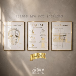 K&ouml;nnte beinhalten: Drei wei&szlig;e Poster mit Goldfolien-Details, die Gesichtsanatomie, Gesichtspflege-Anweisungen und Hautanatomie zeigen. Der Text lautet frames are not included, real foil und Artara DARA. Die Drucke zeigen anatomische Diagramme und Symbole.