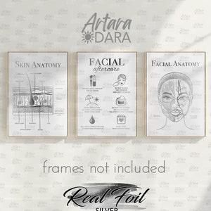 Facial Aftercare, Silver Foil Print, Beauty Salon Decor, Skin Anatomy, Facial Anatomy, Dermatology Art, Med Spa Poster, Beauty Clinic Decor