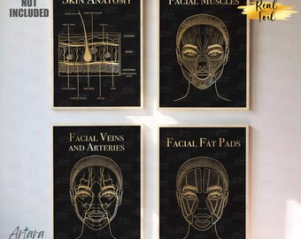 Skin Anatomy, Facial Muscles, Veins, Fat Pads, Real Gold Foil, Esthetician Art, Beauty Room Decor