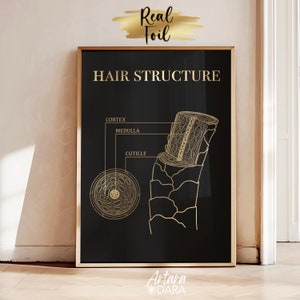 Hair Structure Art, Gold Foil Print, Hair Salon Decor, Hair Growth Cycle, Hair Anatomy Art, Trichology Art, Dermatology Print, Hair Poster image 4
