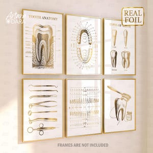 May include: A set of six wall art prints featuring gold foil dental illustrations on white backgrounds. The prints display tooth anatomy, dental arches, types of teeth, dental instruments, a tooth numbering chart, and a tooth with dental floss.
