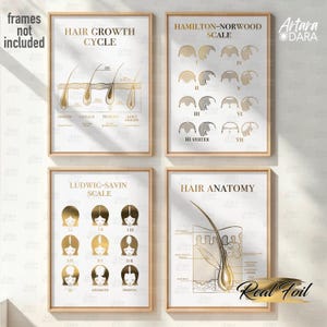 Escalas de perda de cabelo, impressão em folha real, arte de anatomia capilar, ciclo de crescimento capilar, decoração de clínica capilar, escala Hamilton Norwood, escala Ludwig Savin