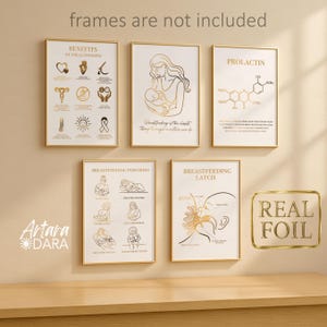 Stillzimmer Dekor, Laktation Wandkunst, Stillen Poster, Prolaktin-Formel, Doula Geschenk, Stilllatche, Babypflege Poster