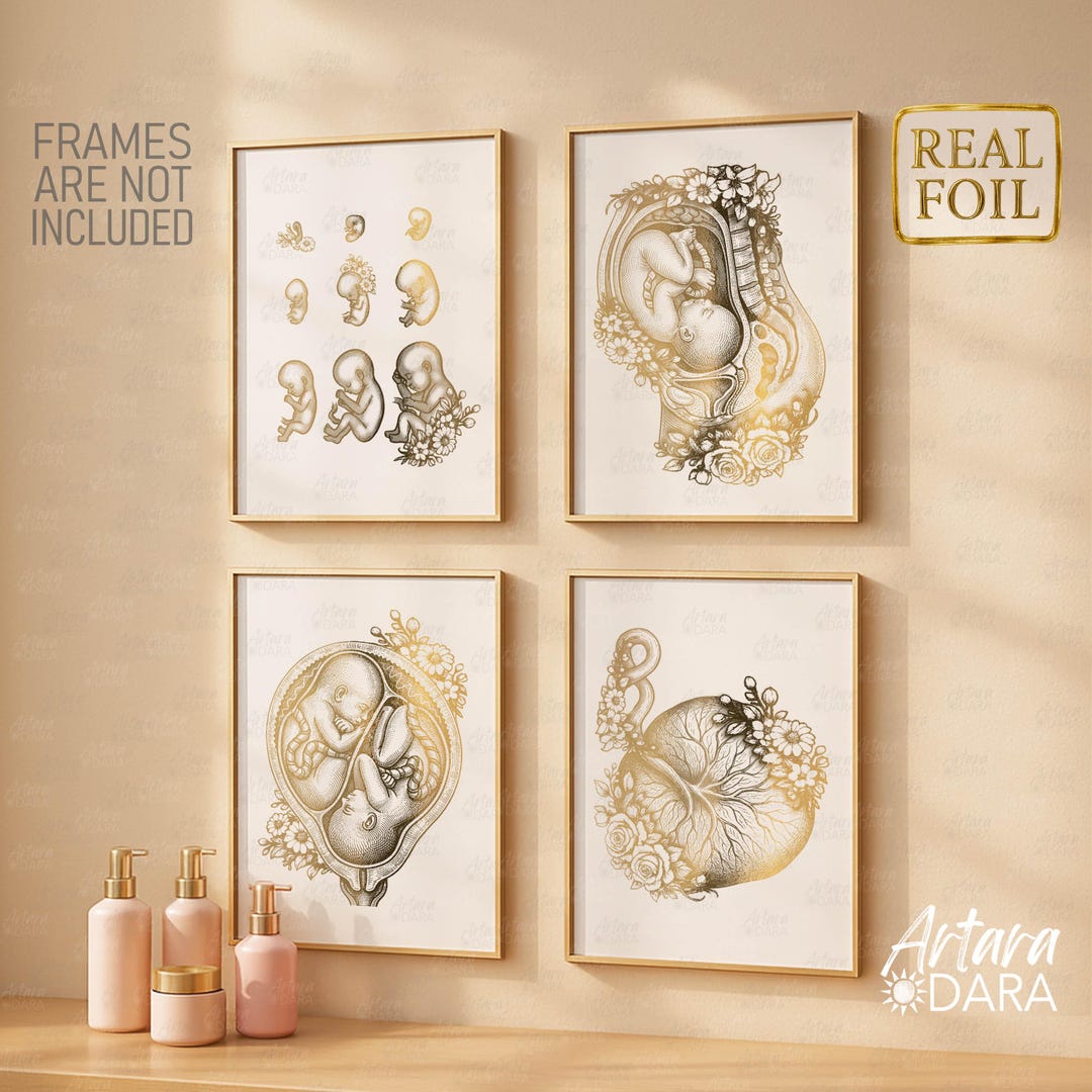 Gold Foil Pregnancy Posters Set of 4, Midwife Doula Clinic Wall Art ...