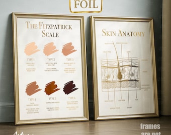 Skin Anatomy and Fitzpatrick Scale — Set of 2 gold foil poster ( unframed)