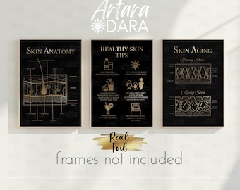 Foil Skin Anatomy Art Print, Beauty Clinic Decor