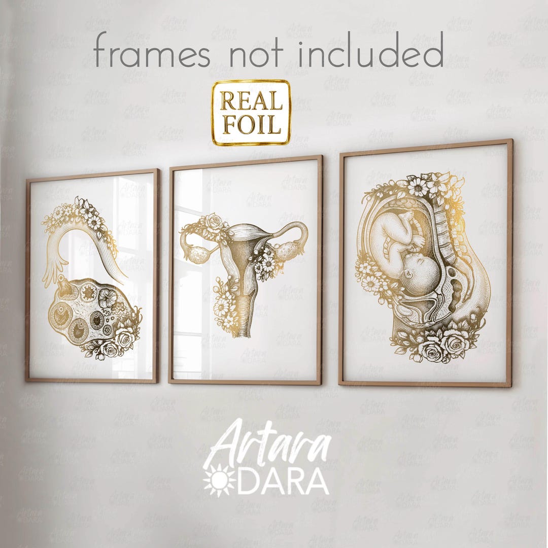 Gold Foil Gynecology Anatomy Posters Set of 3, OB-GYN Clinic Wall Art ...