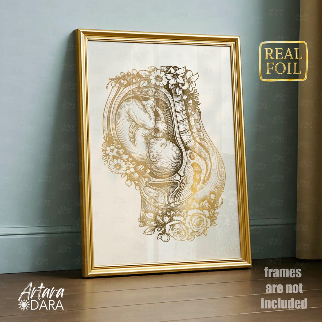 Pregnancy Anatomy Gold Foil Print, Gynecology Wall Art, OBGYN Clinic ...