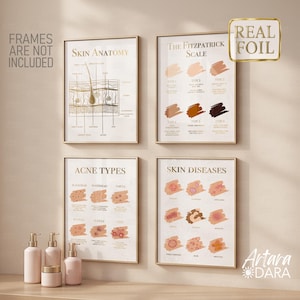 Dermatology Posters Set of 4, Skin Anatomy & Fitzpatrick Scale, Acne Types Chart, Skin Diseases Guide, Beauty Studio Decor (unframed)