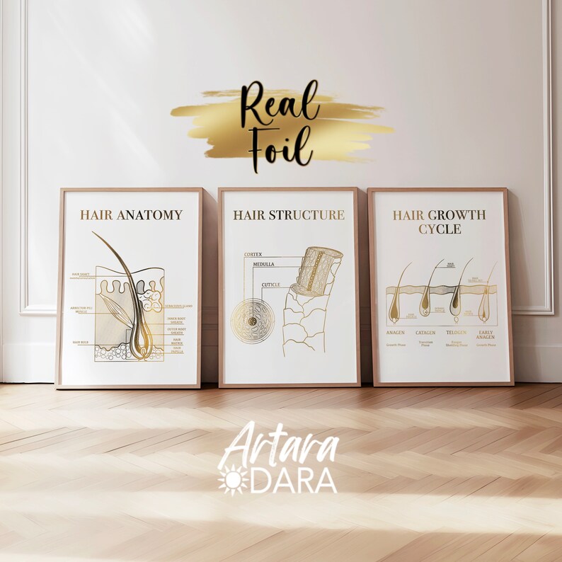 Hair Structure Art, Gold Foil Print, Hair Salon Decor, Hair Growth Cycle, Hair Anatomy Art, Trichology Art, Dermatology Print, Hair Poster image 7