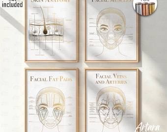 Gold Foil Anatomy Posters – Esthetician Spa Wall Art, Set of 4