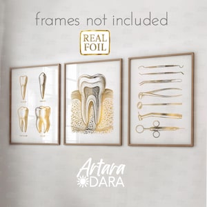 May include: Three framed dental art prints with gold foil accents. The prints depict tooth anatomy and dental tools. The text "frames not included" is at the top. The prints are in wooden frames. The bottom of the image has the text "Artara Dara".