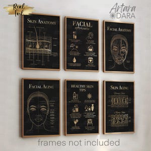 Foil Facial Anatomy Poster Set, Beauty Clinic Decor