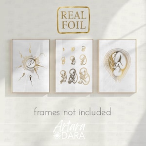 Fertilization and Pregnancy Poster Set – White and Gold Foil – Gynecology & Obstetrics Wall Art