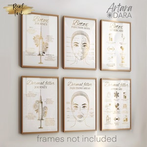 Botox & Filler Poster Set of 6, Aftercare,  Areas and Journey, Real Foil Print (unframed)