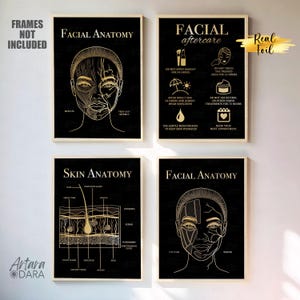 4 Gold Foil Posters on Black Paper – Facial Anatomy, Skin Anatomy & Aftercare – Med Spa and Aesthetic Clinic Wall Art