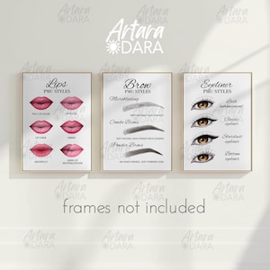 PMU Salon Decor, Permanent Makeup Poster, PMU Tech Print, Beauty Salon Decor, PMU Lips Styles, Pmu Brow Styles, Pmu Eye Styles, Tattoo Salon