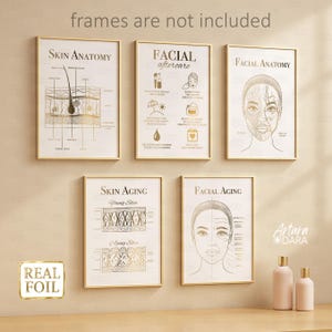 Beauty Clinic Decor, Skin Anatomy, Facial Anatomy, Facial Aftercare, Real Foil Poster, Skin Aging, Face Aging, Beauty Salon Decor