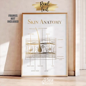 Skin Anatomy Poster, Real Foil Print, Beauty Salon Decor, Skin Care Art, Dermatology Poster, Dermatologist Gift, Med Spa Decor, Skin Print