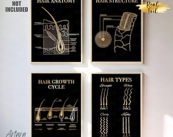 Dermatology Art, Hair Anatomy, Real Foil Print, Hair Structure, Hair Growth Cycle, Hair Types Print, Hair Salon Decor, Trichology Poster