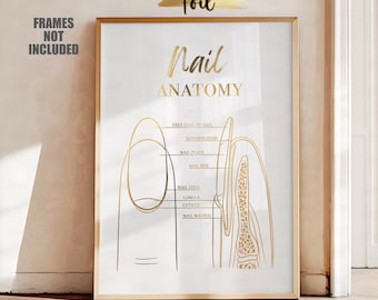 Nail Structure Art, Nail Anatomy Poster, Real Foil Print, Nails Salon Decor, Nail Technician Gift, Manicure Salon Decor, Nail Tech Poster
